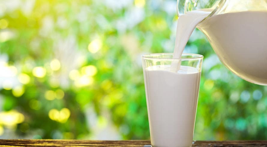Coisas da evolução! Mesmo contrariando a biologia, o leite permanece integrando a dieta regular humana