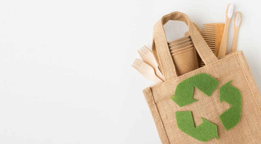Sacola biodegradável: uma alternativa sustentável para o meio ambiente