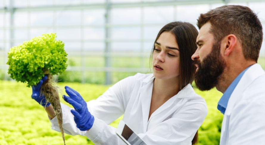SEGURANÇA ALIMENTAR: O IMPACTO DO MICRO-ONDAS NA NUTRIÇÃO E SAÚDE