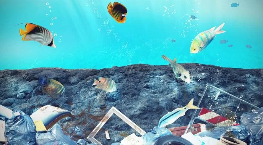 A poluição gerada em terra tem efeitos, ocultos, também no ambiente marinho