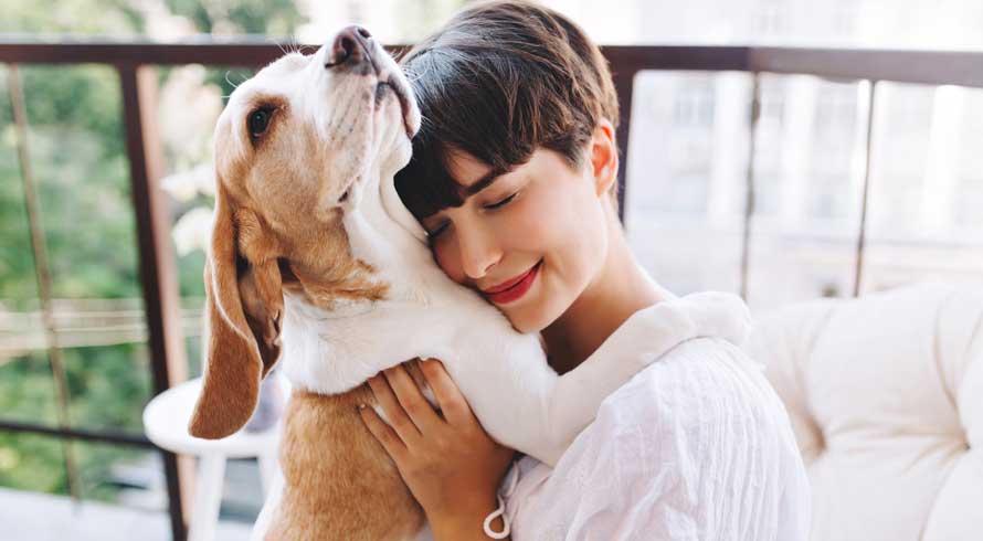 A relação entre os Animais e o bem-estar humano