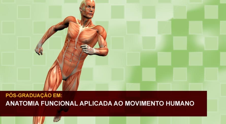 ANATOMIA FUNCIONAL APLICADA AO MOVIMENTO HUMANO