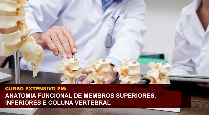 ANATOMIA FUNCIONAL DE MEMBROS SUPERIORES, INFERIORES E COLUNA VERTEBRAL
