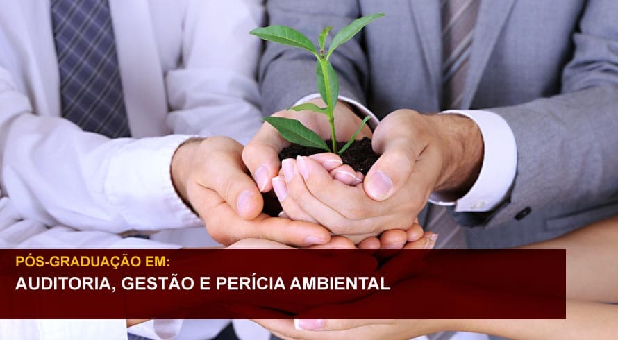 AUDITORIA, GESTÃO E PERÍCIA AMBIENTAL