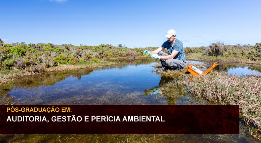 AUDITORIA, GESTÃO E PERÍCIA AMBIENTAL