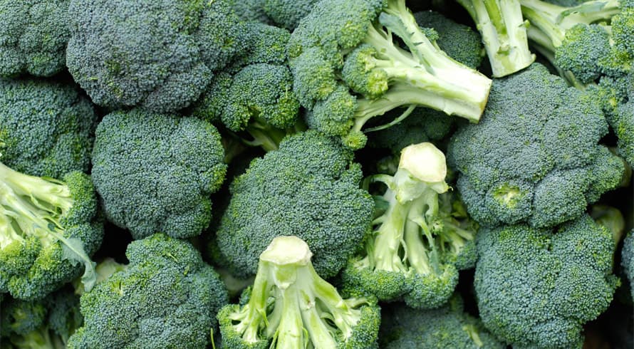 "Brócolis?? Blearghs!". Reveja essa sua aversão a vegetais na alimentação! Estudo revelou que eles são eficazes na prevenção do câncer de intestino