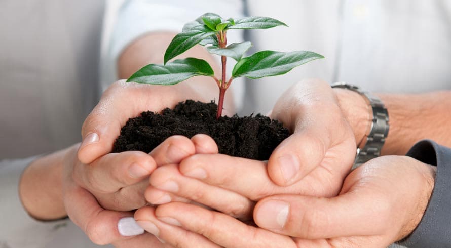 Confira o curso de pós, à distância, em "Gestão e Licenciamento Ambiental" que a UCAM preparou para você brilhar profissionalmente!