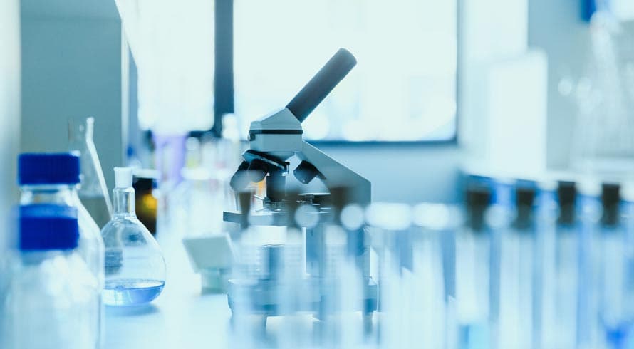 Contribuição brasileira para a Ciência! Pesquisadores desenvolveram material eficiente contra fungos e tumores