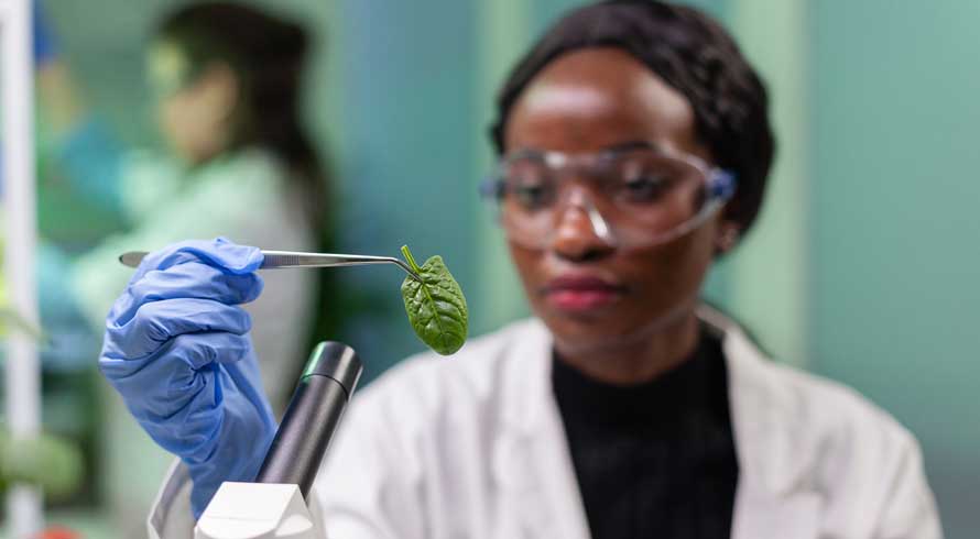 Dia Internacional da Biodiversidade