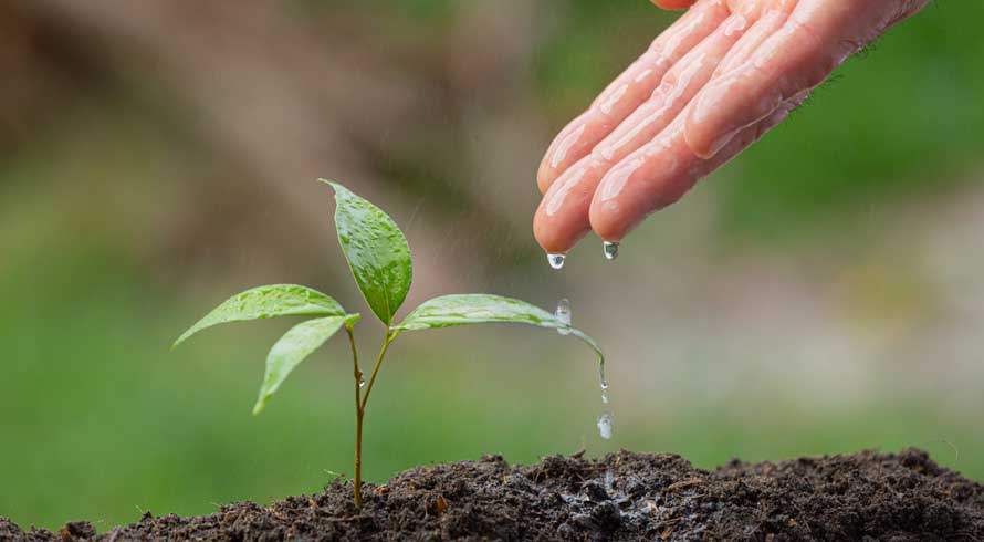 Dia Mundial do Meio Ambiente