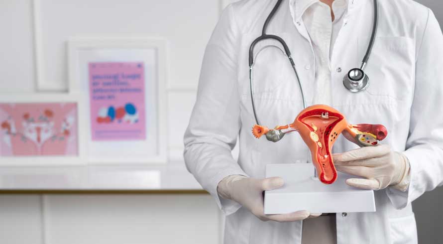 Dia Nacional do Ginecologista e Obstetra