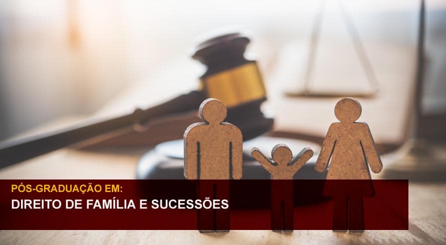 DIREITO DE FAMÍLIA E SUCESSÕES