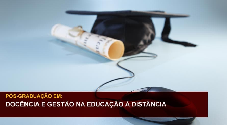 DOCÊNCIA E GESTÃO NA EDUCAÇÃO A DISTÂNCIA