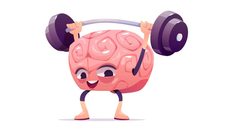 Existem suplementos para o cérebro?