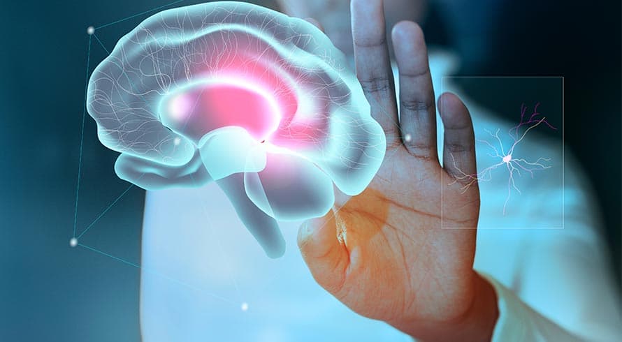 Neuropsicologia: o que os testes não dizem sozinhos, e por que a interpretação clínica faz toda a diferença