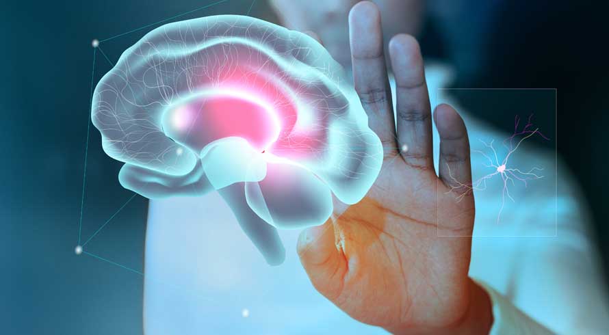 O que você sabe sobre o cérebro humano?