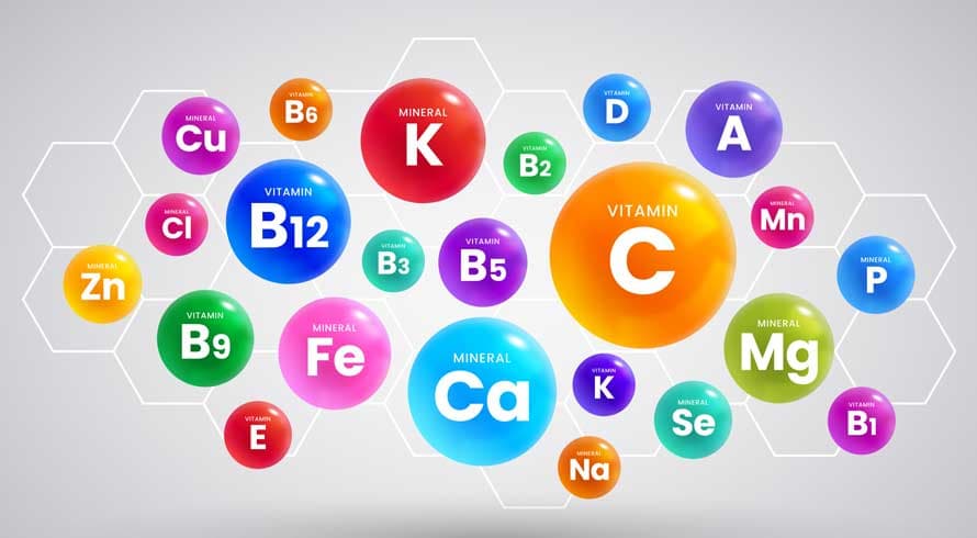 Sementes: fontes de vitaminas e minerais