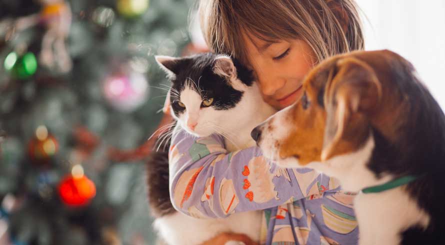 Você sabia que no dia 14 de março o Brasil comemora o Dia dos Animais?